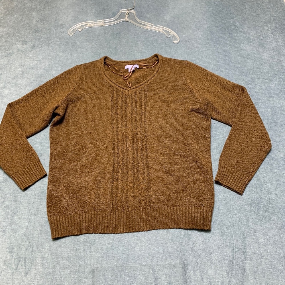 Laura Scott Sweater Mens Large Brown V Neck Classic Fit Ribbed Hem Winter Warm